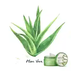 SNP Aloe Vera Gel Гель для лица и тела алоэ вера смягчающий увлажняющий освежающий, 300 г