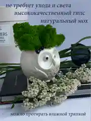 Лесной зеленый кашпо из гипса со стабилизированным мхом, статуэтка для интерьера, скульптура, ангел, куб