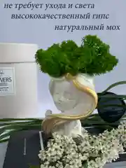 Золотистый хаки кашпо из гипса со стабилизированным мхом, статуэтка для интерьера, скульптура, ангел, куб