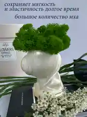 Золотистый хаки кашпо из гипса со стабилизированным мхом, статуэтка для интерьера, скульптура, ангел, куб