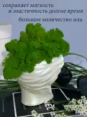 Зеленый кашпо из гипса со стабилизированным мхом, статуэтка для интерьера, скульптура, ангел, куб