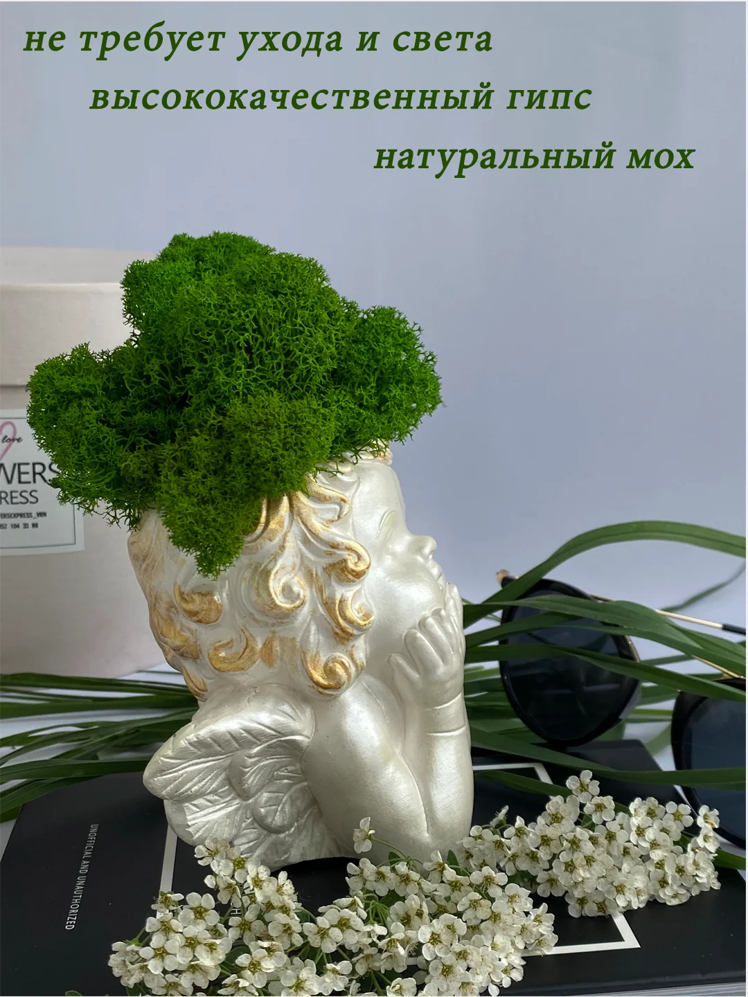 Золотой кашпо из гипса со стабилизированным мхом, статуэтка для интерьера, скульптура, ангел, куб