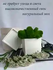 Белый кашпо из гипса со стабилизированным мхом, статуэтка для интерьера, скульптура, ангел, куб