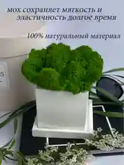 Белый кашпо из гипса со стабилизированным мхом, статуэтка для интерьера, скульптура, ангел, куб