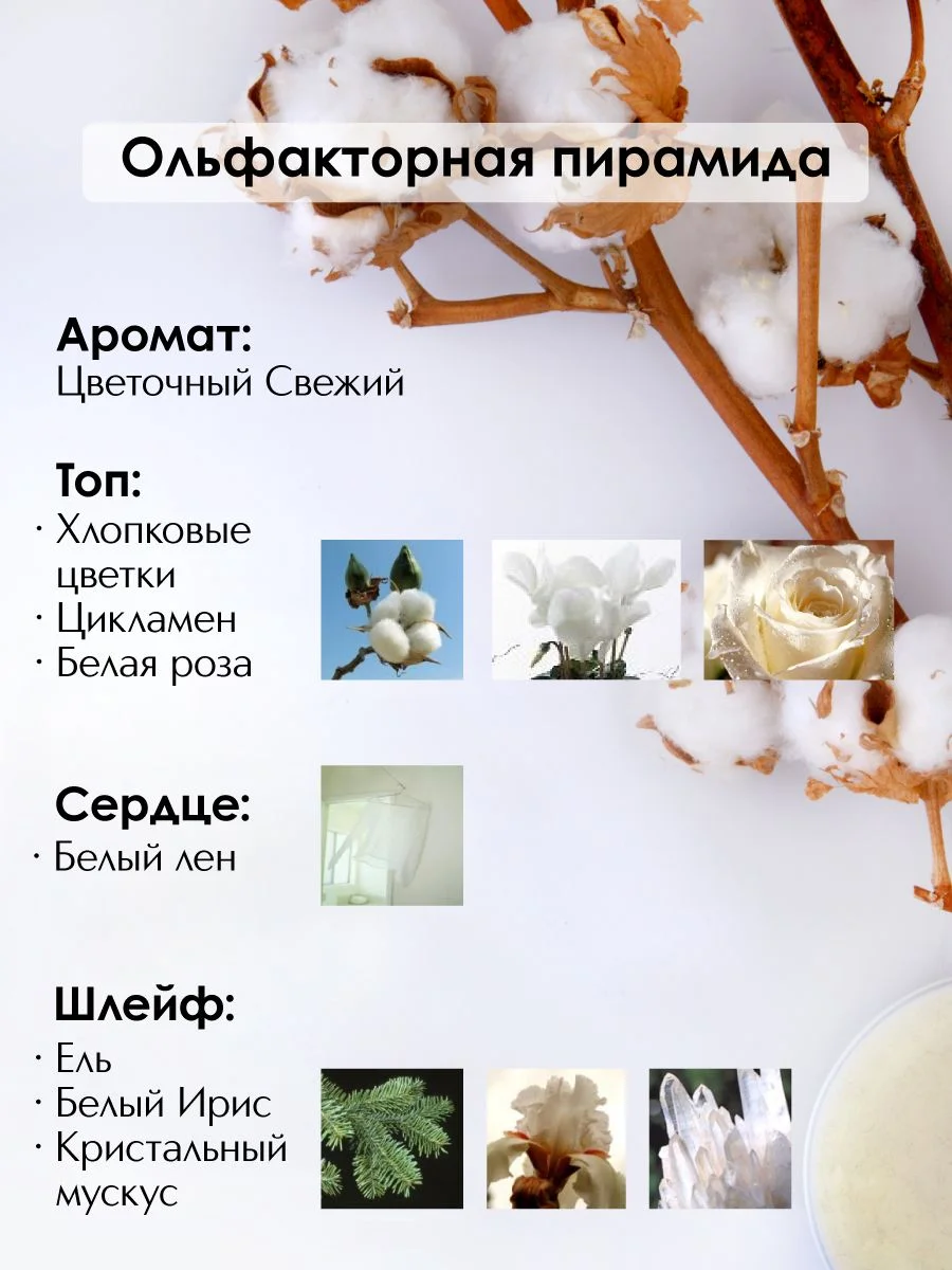Shiro Парфюмерная вода жен., 10 мл