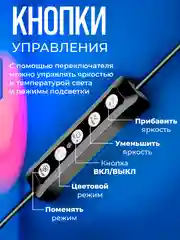 Кольцевая лампа 26 см, светодиодная, цветная, селфи лампа со штативом 210 см
