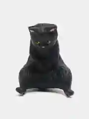 Кот рыбак черный