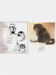 Полное собрание котов