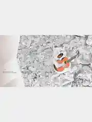 Полное собрание котов