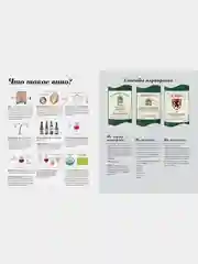 Wine Folly. Издание Магнум, детализированное