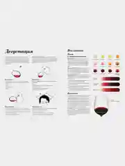 Wine Folly. Издание Магнум, детализированное