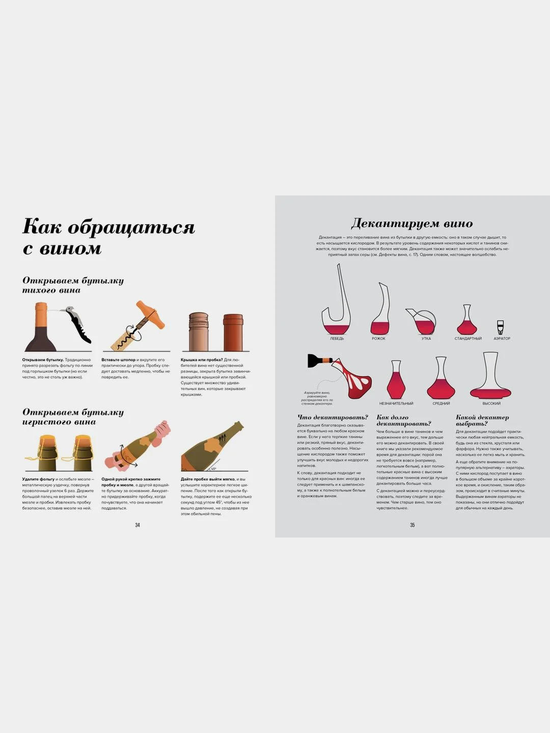 Wine Folly. Издание Магнум, детализированное
