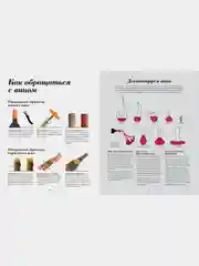 Wine Folly. Издание Магнум, детализированное