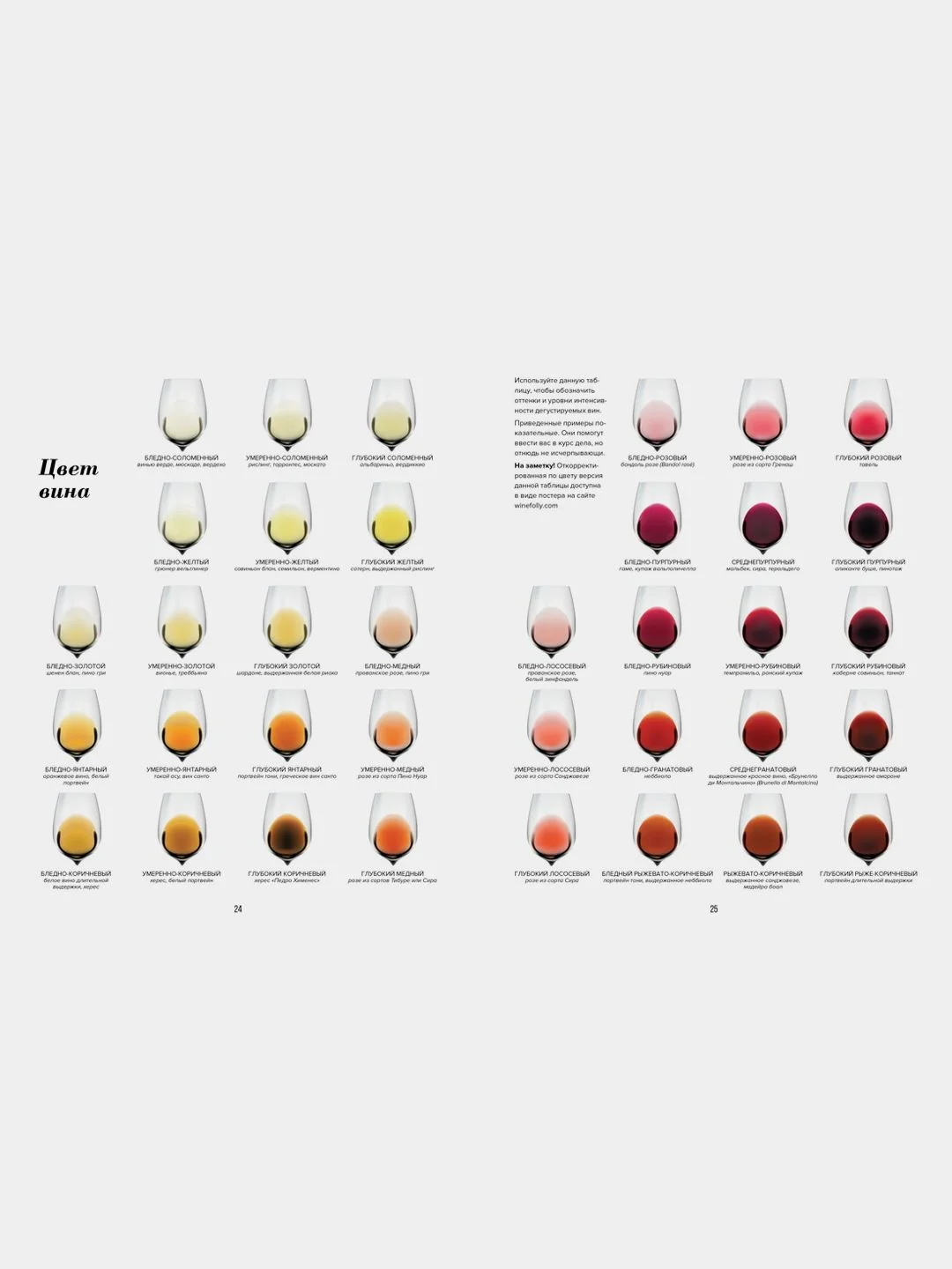 Wine Folly. Издание Магнум, детализированное