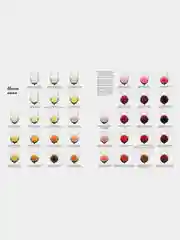 Wine Folly. Издание Магнум, детализированное