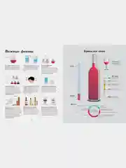 Wine Folly. Издание Магнум, детализированное