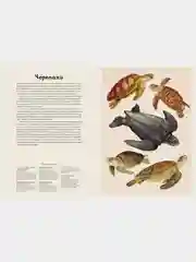 Океанариум
