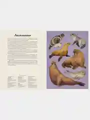 Океанариум
