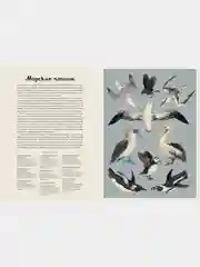 Океанариум