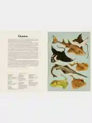 Океанариум