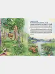 Природа России. Иллюстрированная энциклопедия