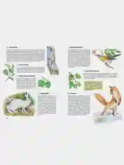 Природа России. Иллюстрированная энциклопедия