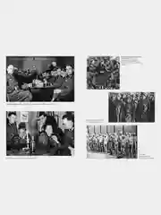 Мобилизованная нация. Германия 19391945