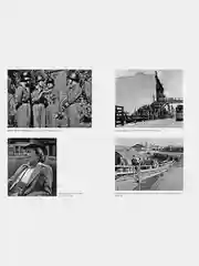 Мобилизованная нация. Германия 19391945