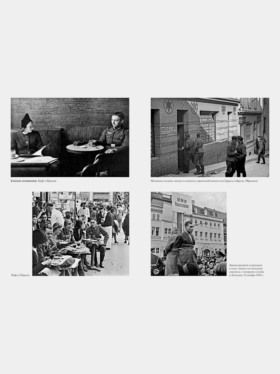 Мобилизованная нация. Германия 19391945