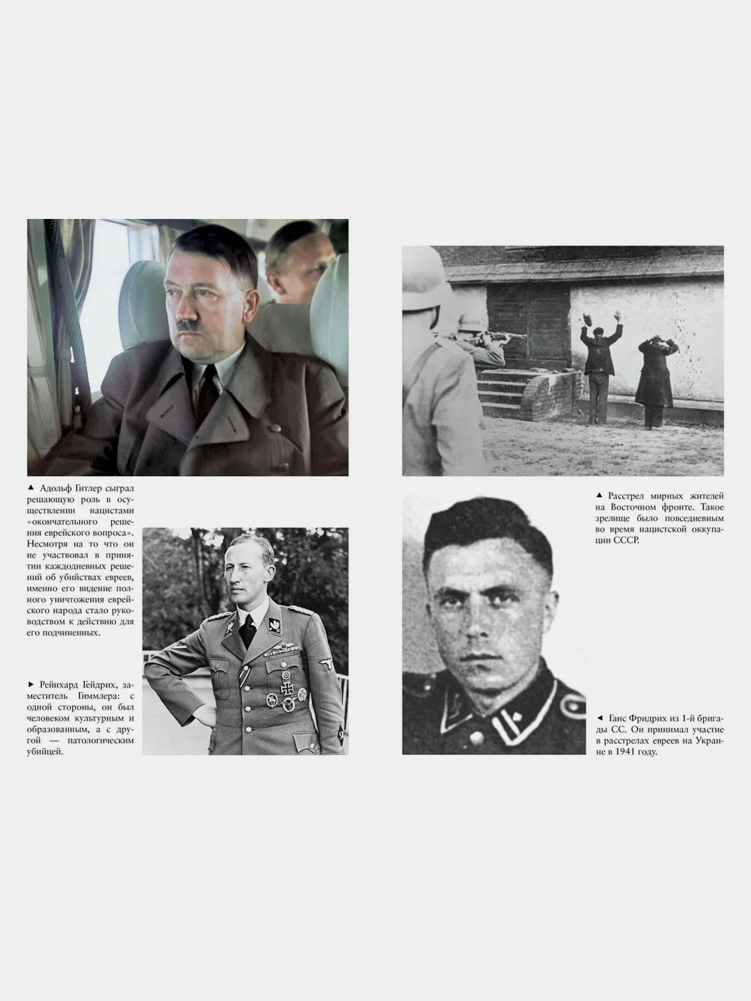 Освенцим. Нацисты и окончательное решение еврейского вопроса
