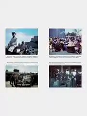 Освенцим. Нацисты и окончательное решение еврейского вопроса