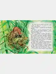 Сказки и рассказы о животных