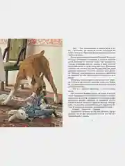 Удивительное путешествие кролика Эдварда