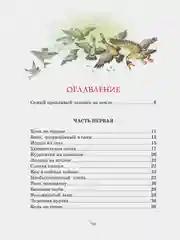 Приключения барона Мюнхаузена