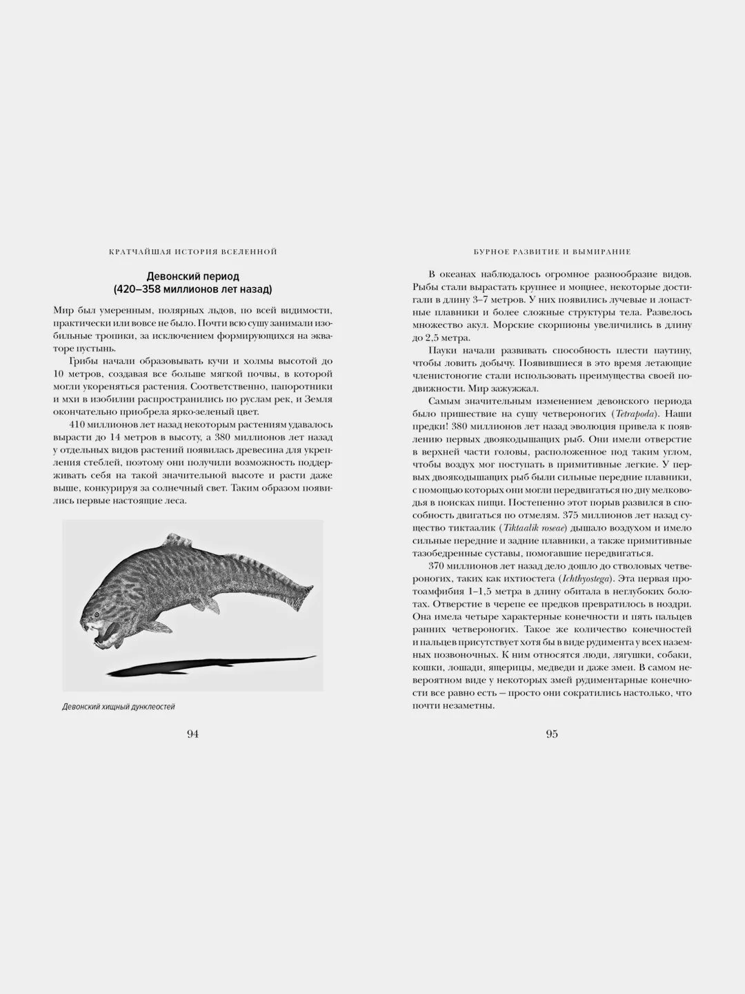 Кратчайшая история Вселенной: От Большого взрыва до наших дней