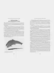 Кратчайшая история Вселенной: От Большого взрыва до наших дней