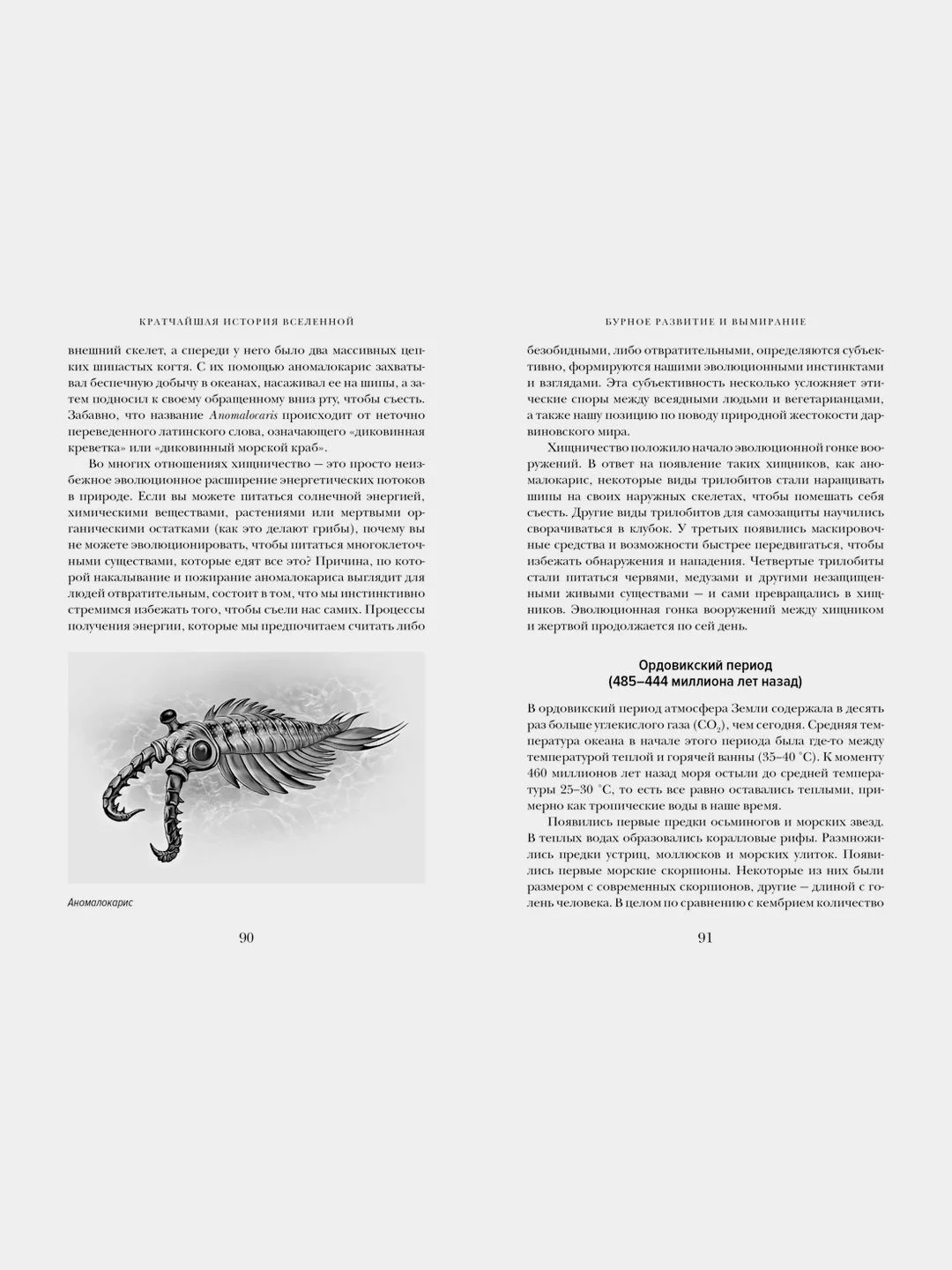 Кратчайшая история Вселенной: От Большого взрыва до наших дней