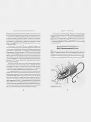 Кратчайшая история Вселенной: От Большого взрыва до наших дней