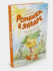 Ромашки в январе