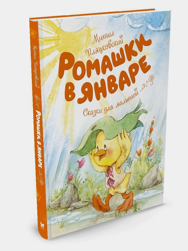Ромашки в январе