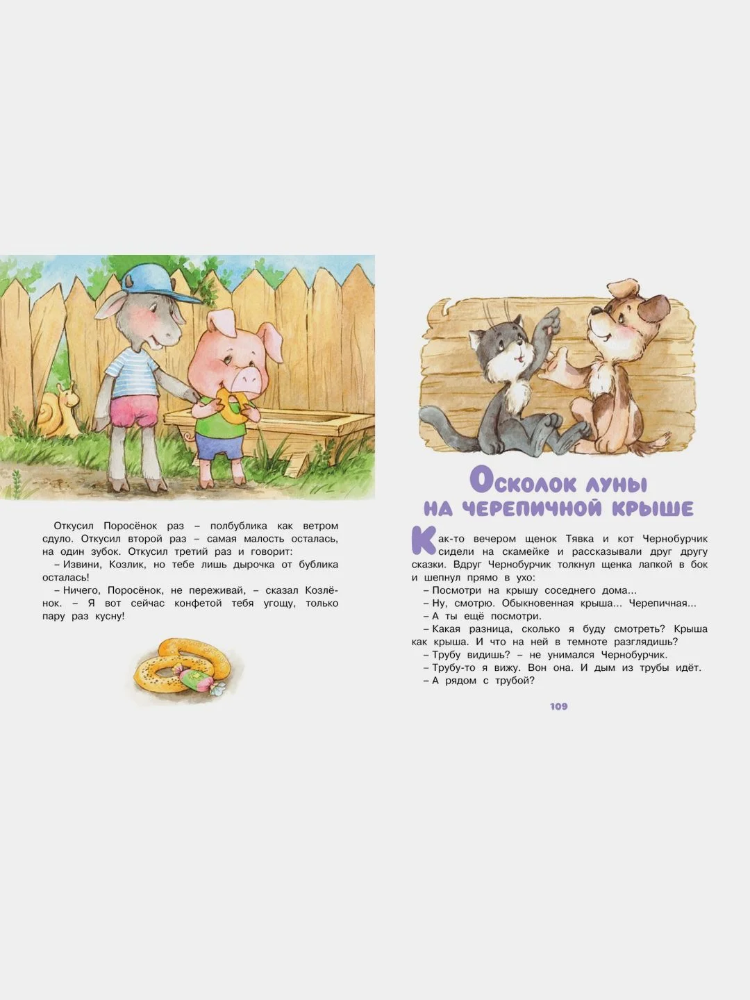 Ромашки в январе