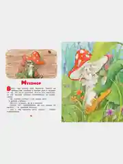 Ромашки в январе