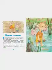 Ромашки в январе