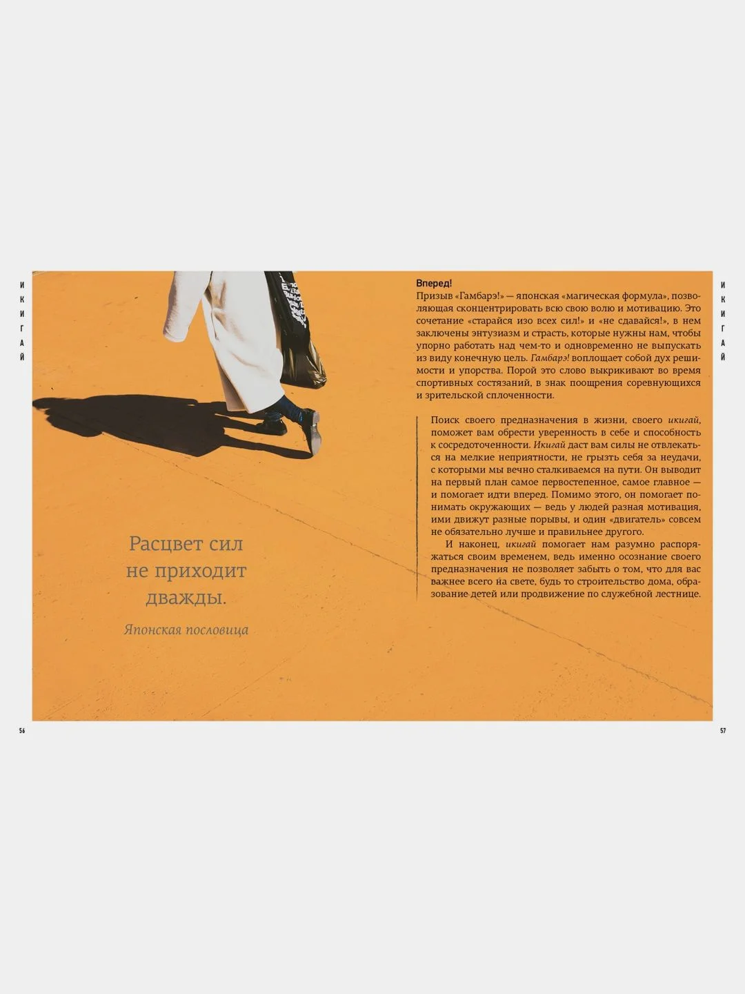 Японизм. Маленькая книга японской жизненной мудрости