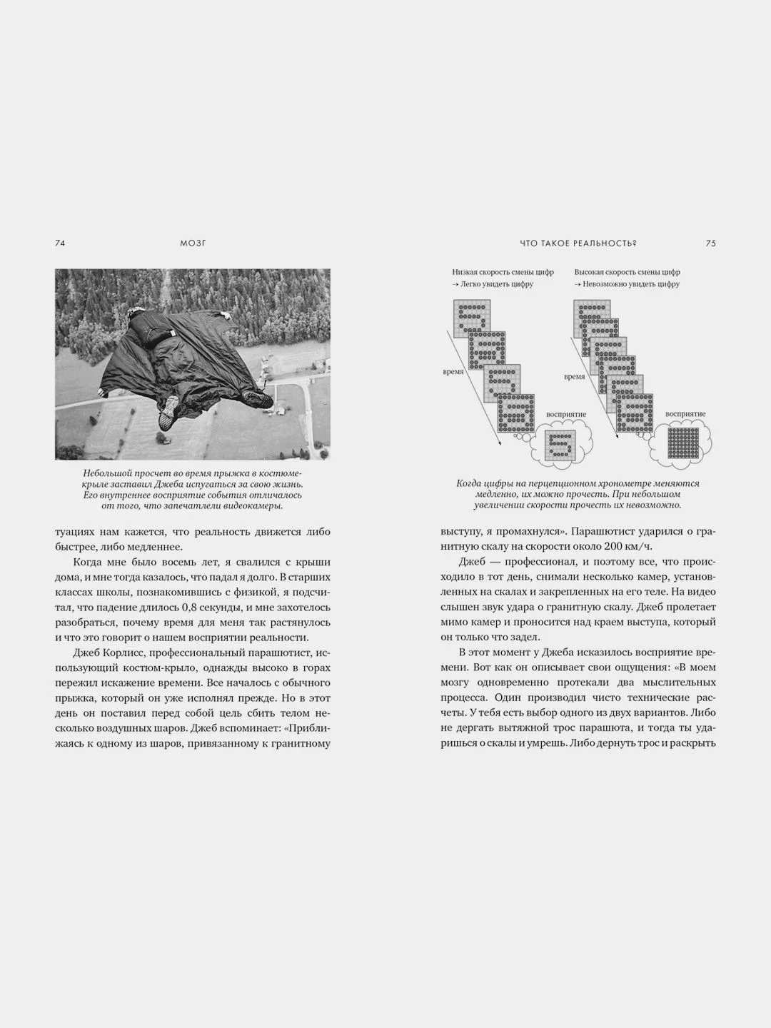 Мозг. Ваша личная история