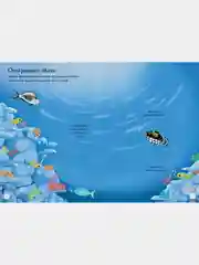 Океанариум