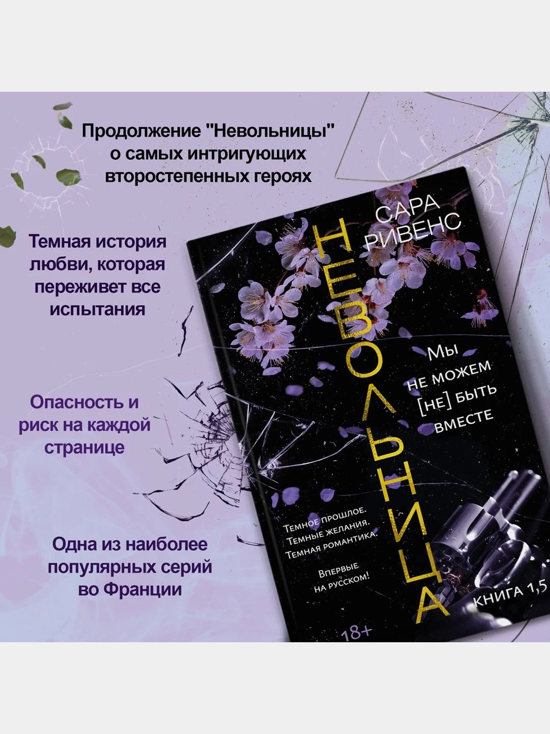 Невольница. Книга 1,5. Мы не можем (не) быть вместе