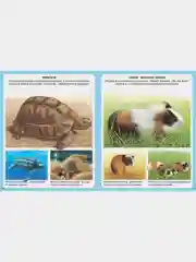 Животные
