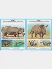 Животные
