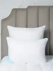 Подушка Arya Гелевая 70х70 Micro Gel